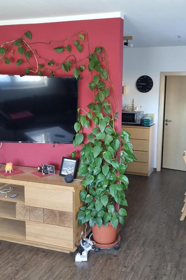 Ferienwohnung Bergidyll Шварценберг Экстерьер фото